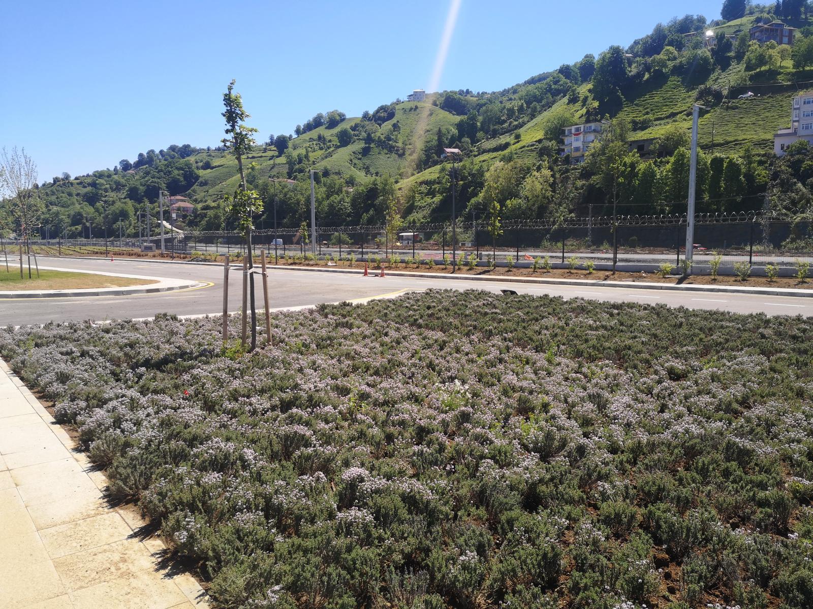 WhatsApp Image 2025-04-17 at 14.53.02 (1)