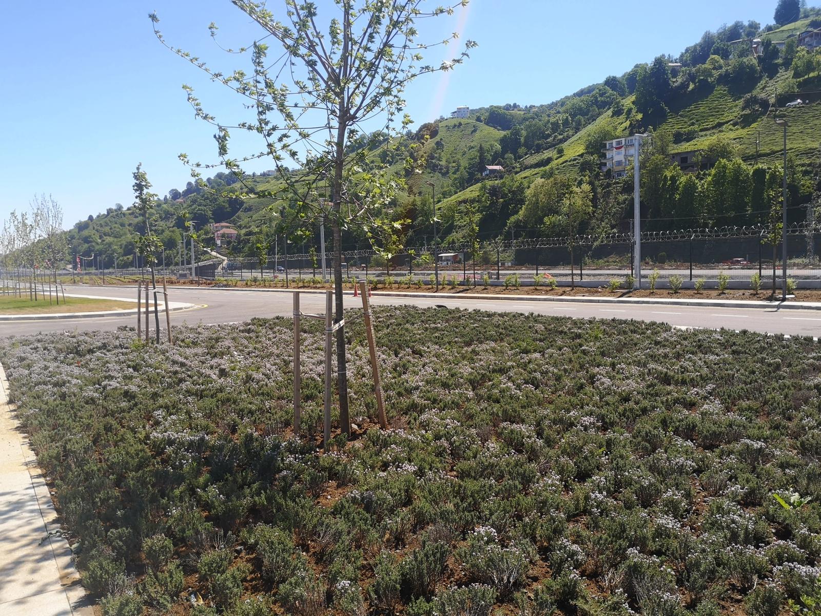 WhatsApp Image 2025-04-17 at 14.53.02