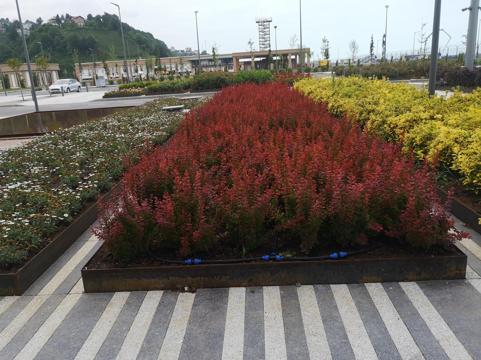 WhatsApp Image 2025-04-17 at 14.53.03 (1)