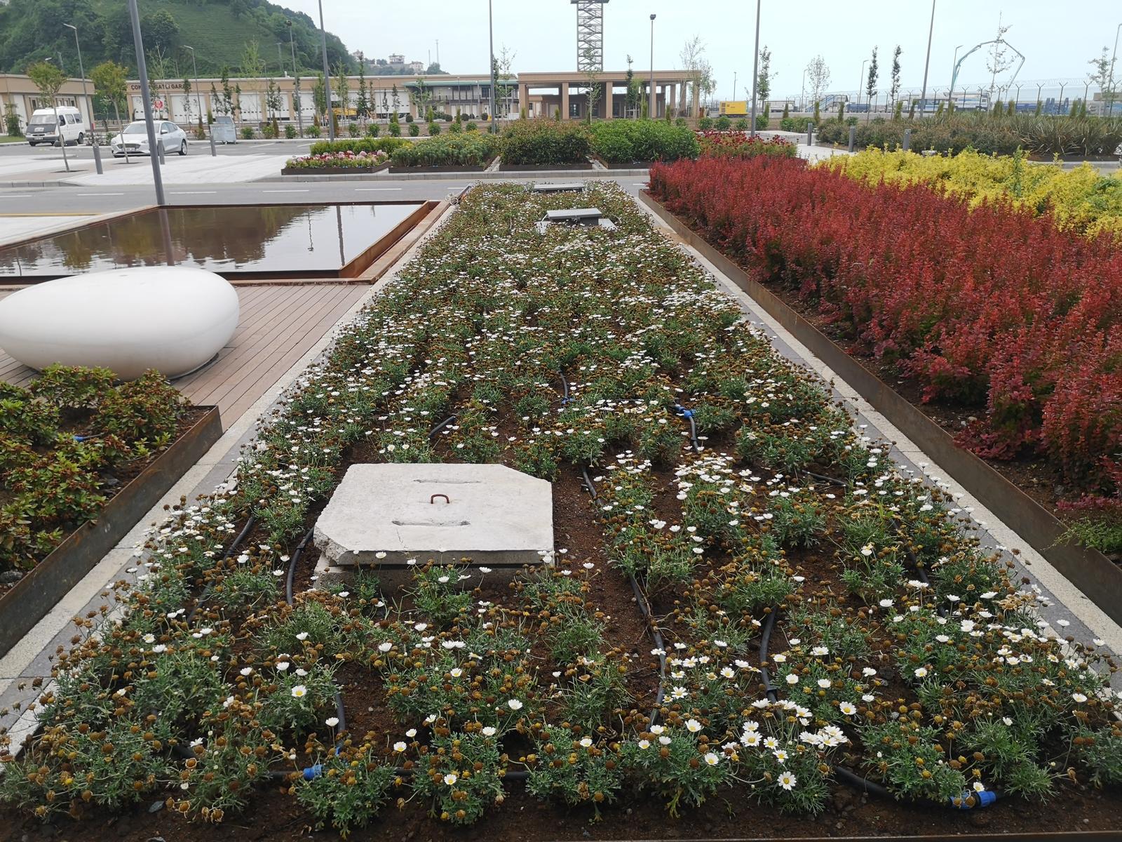 WhatsApp Image 2025-04-17 at 14.53.03 (2)