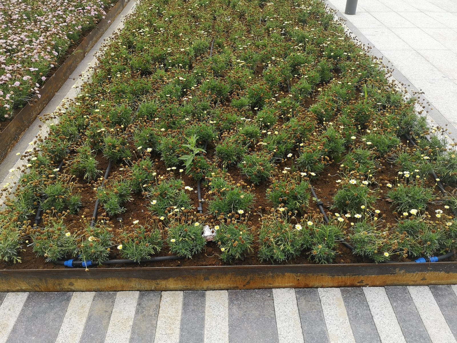 WhatsApp Image 2025-04-17 at 14.53.03 (3)