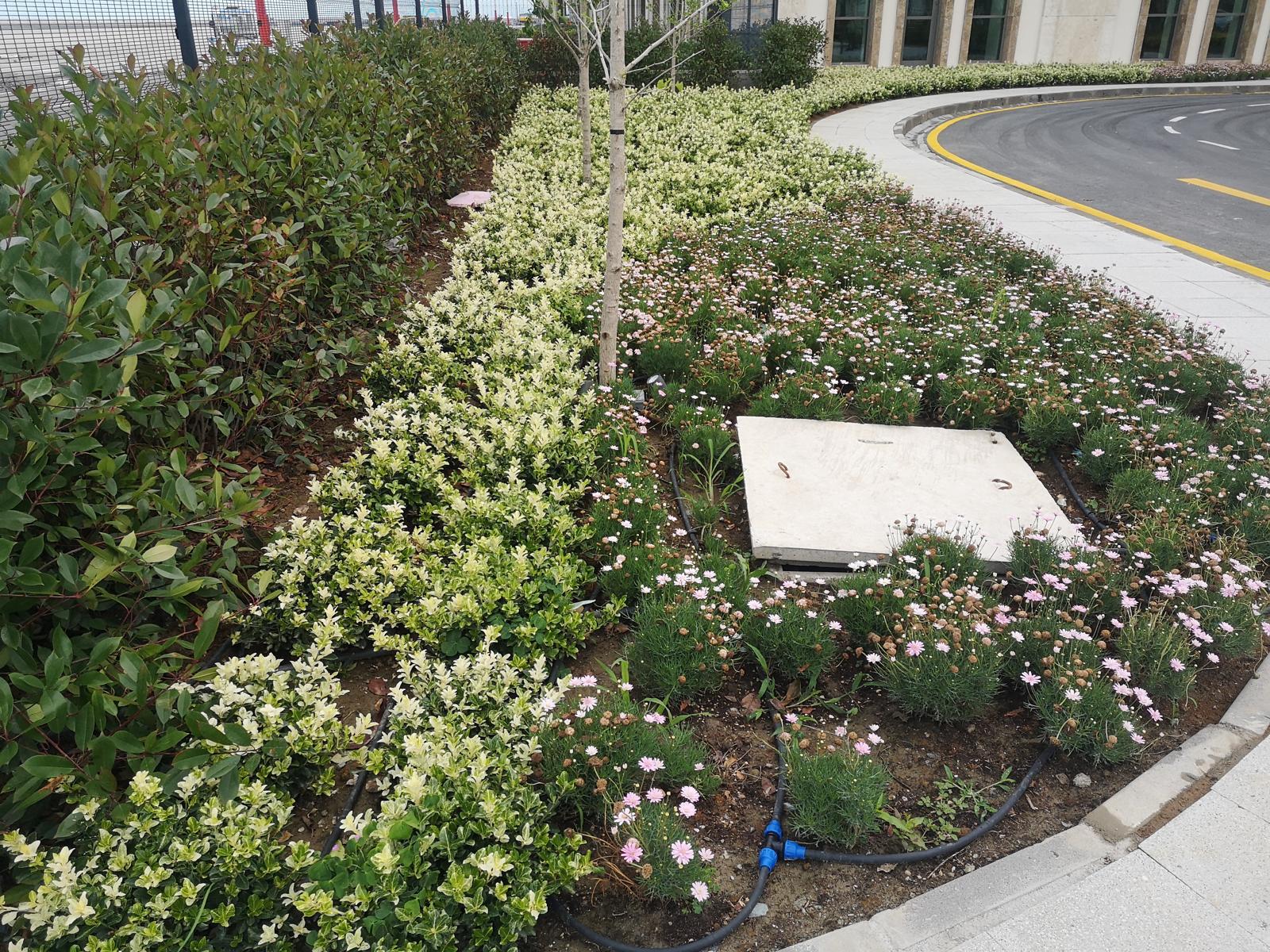 WhatsApp Image 2025-04-17 at 14.53.03